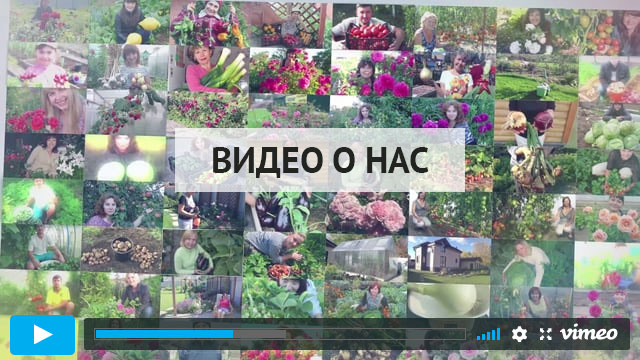 Видео о нас
