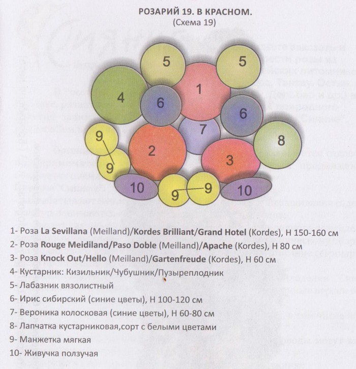 rozychem-38.jpg