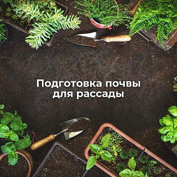 Как подготовить почву для рассады (рецепт)