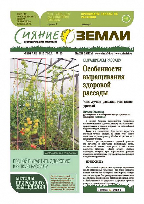 Вестник-45 (февраль 2015)