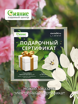 Подарочный сертификат на 8 марта