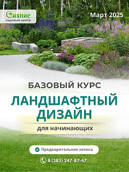 Базовый курс «Ландшафтный дизайн для начинающих»
