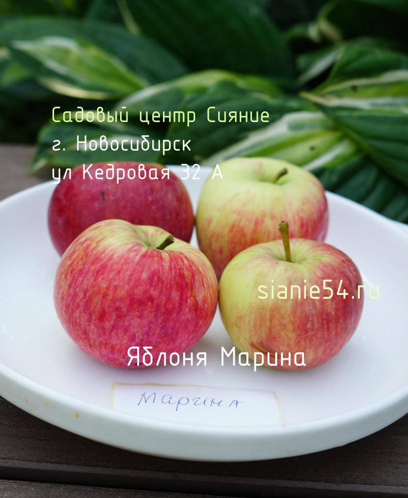 Марина.jpg