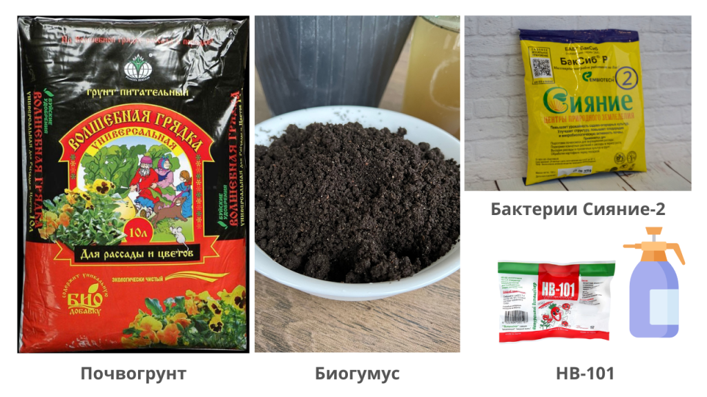 Добавить подзаголовок (5).png
