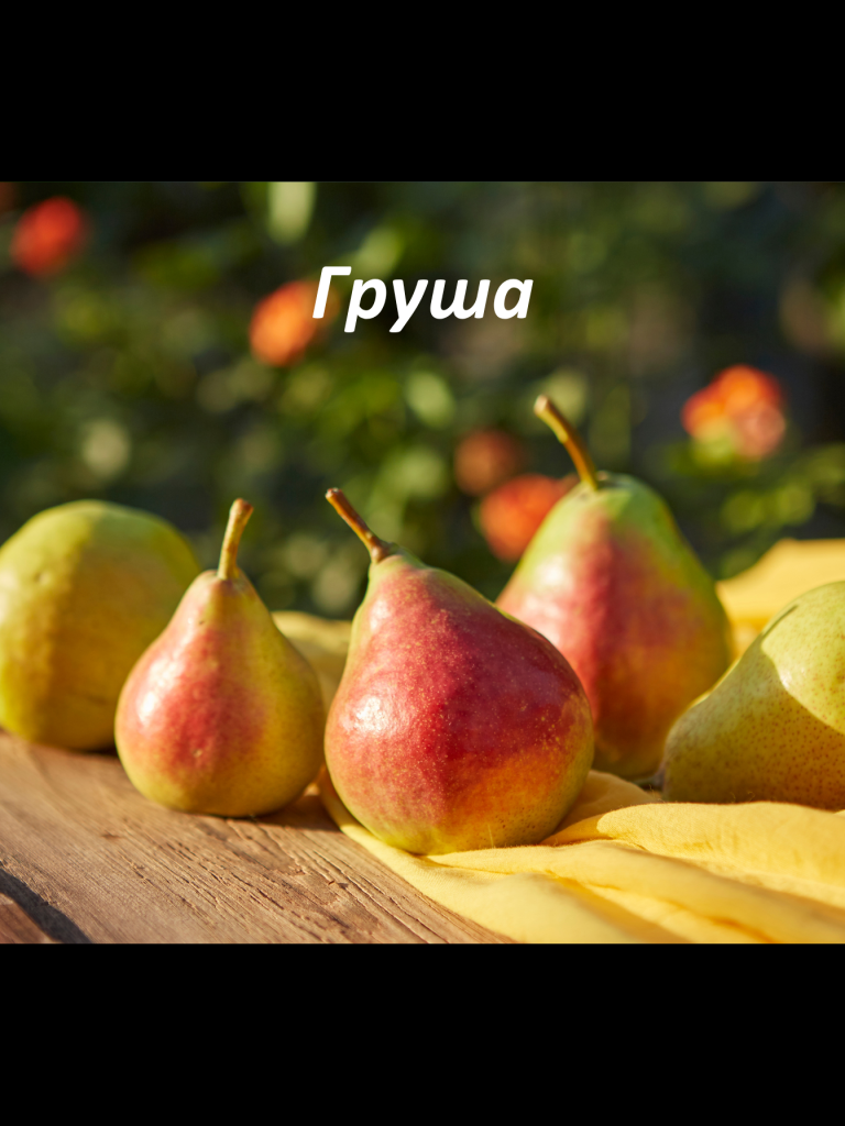 7.png 7.png