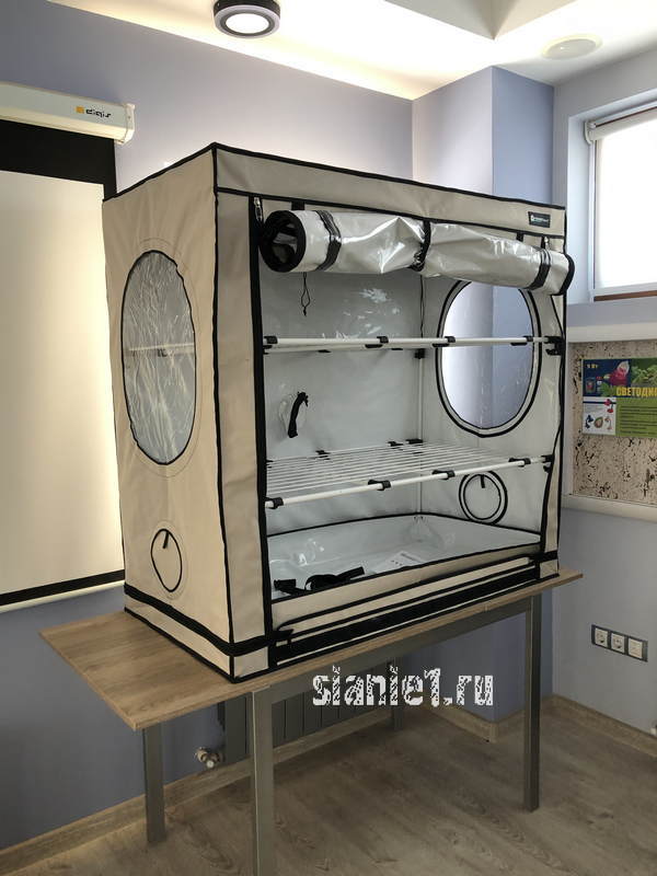 оранжерея-11.jpg