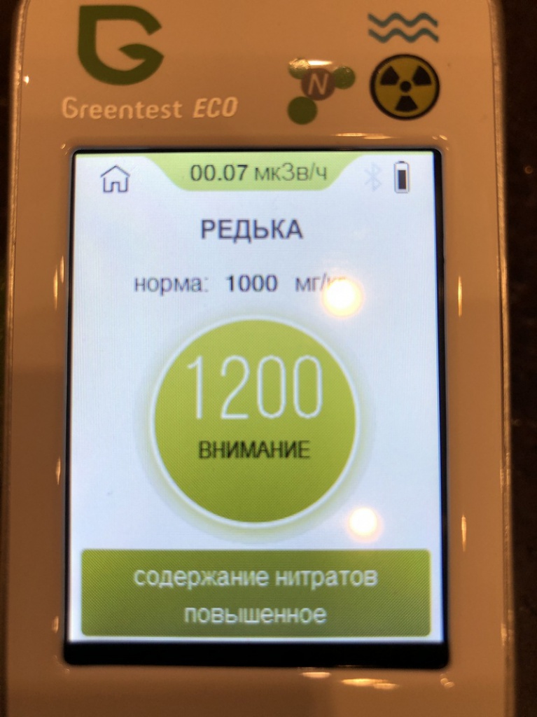 редька-2.JPG