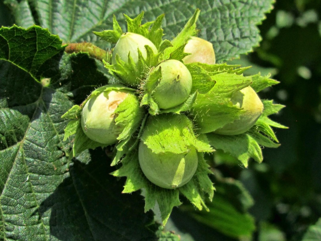 77.jpg