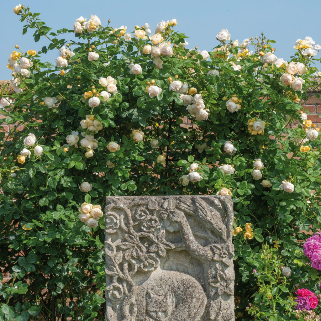 Wollerton-Old-Hall-min``3.jpg