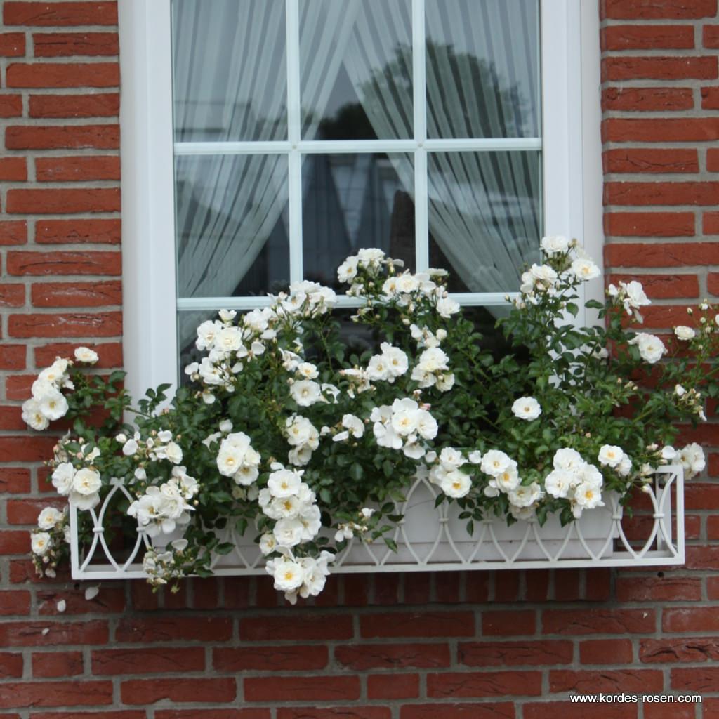Diamant_Balkon.jpg Diamant_Balkon.jpg