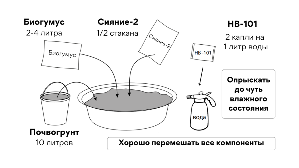 Дизайн без названия (63).png