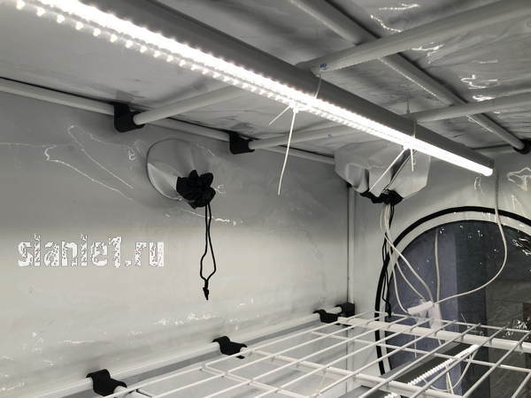 оранжерея-13.jpg