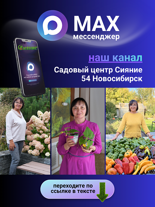 Канал нашего Садового центра Сияние в МАХ Канал нашего Садового центра Сияние в МАХ