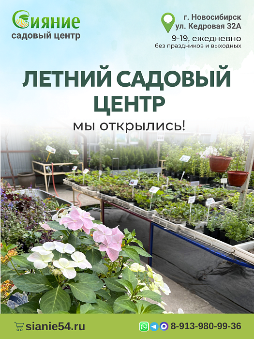 Мы открыты на Кедровой! Садовый центр "Сияние"