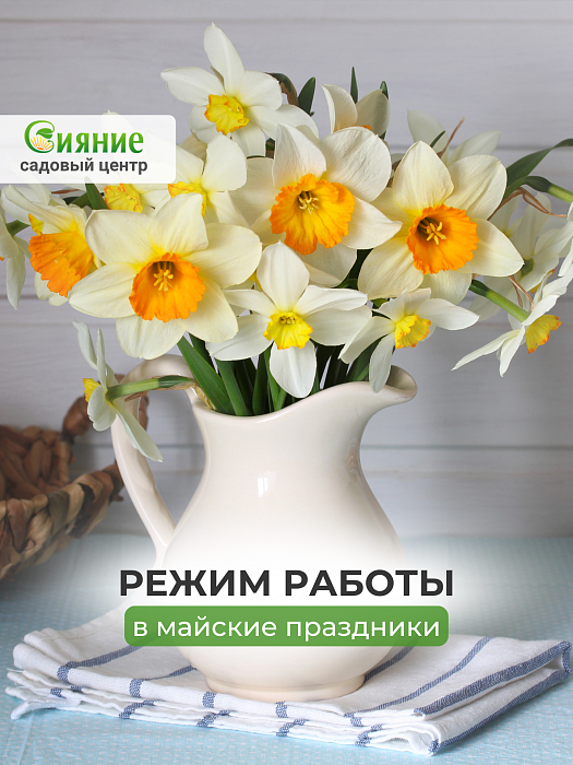 Режим работы садового центра Сияние на майские праздники